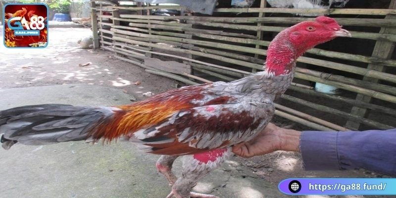 Kiểm tra sức khỏe