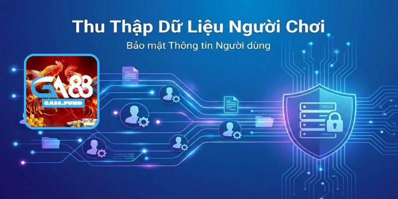 GA88 Thu Thập Những Loại Dữ Liệu Nào?