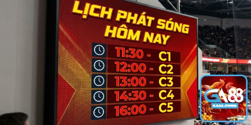 Lịch Phát Sóng Đá Gà Thomo GA88 Hôm Nay - Cập Nhật Theo Giờ